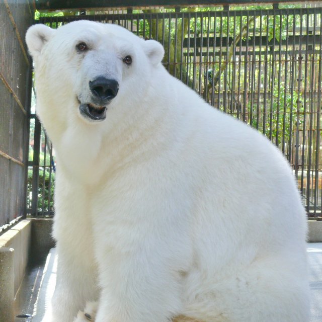 Tobe Zoological Park of Ehime Prefecture