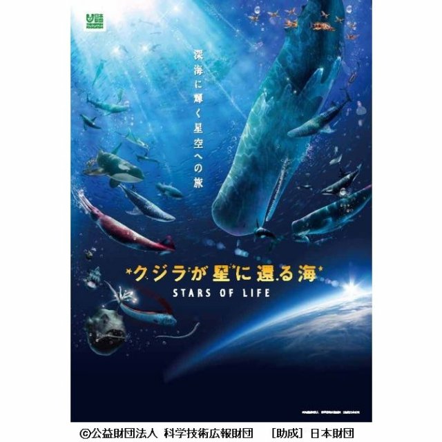 【2025】愛媛県総合科学博物館　プラネタリウム番組「クジラが星に還る海」