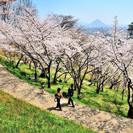 桃陵公園