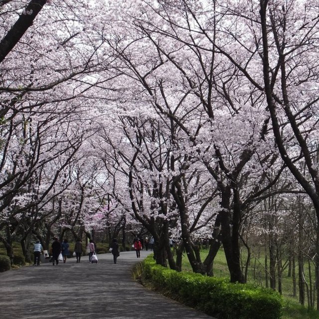 公渕森林公園