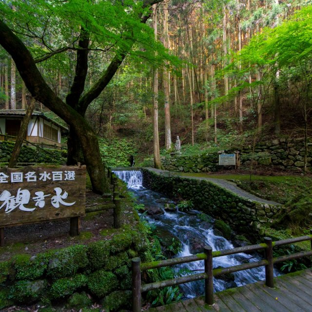 觀音水