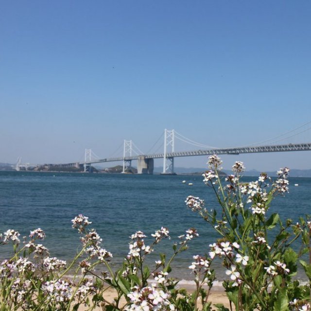 沙弥島