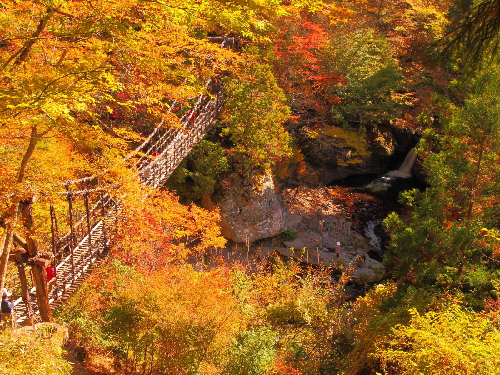 Oku-Iya Double Vine Bridge