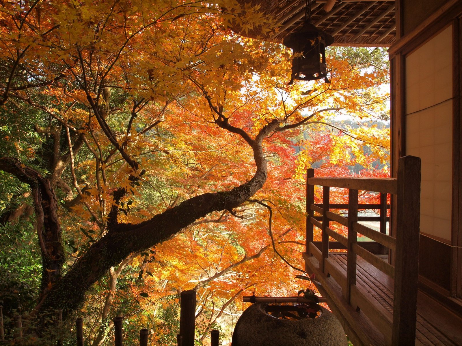 臥龍山莊