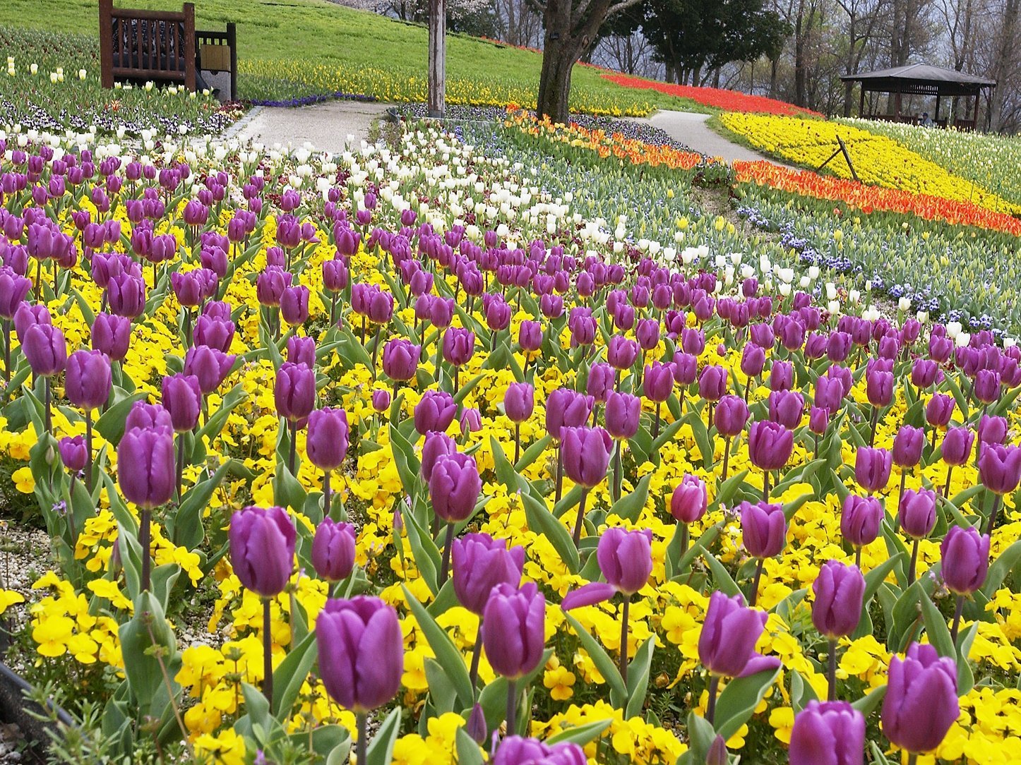 Parc de Sanuki Manno