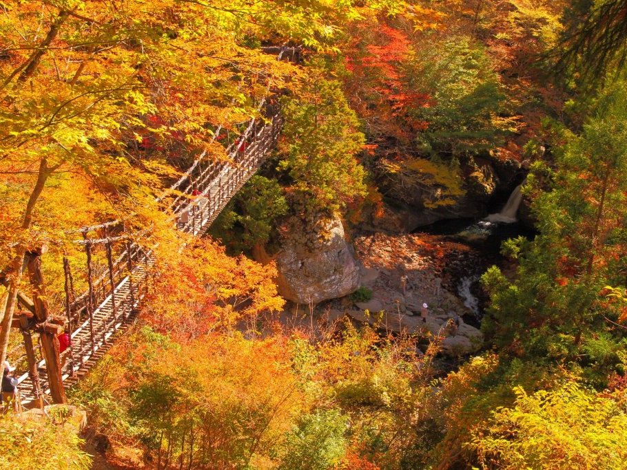 Pont de liane double de Okuiya,Yaen