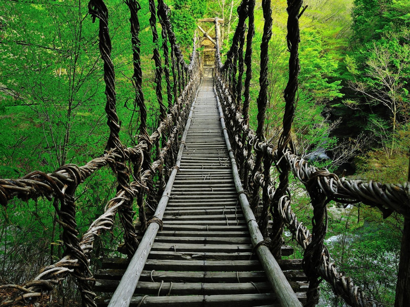 Oku-Iya Double Vine Bridge