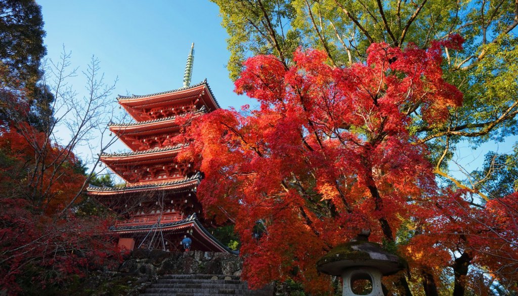 竹林寺（秋）