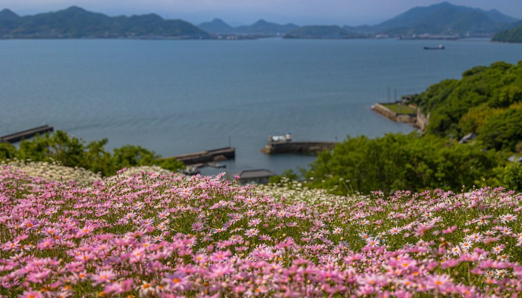 Shishijima Island