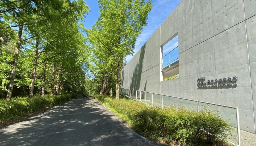Musée de la forêt naturelle de Yokokurayama