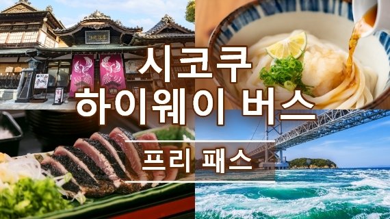 시코쿠 하이웨이 버스 프리 패스