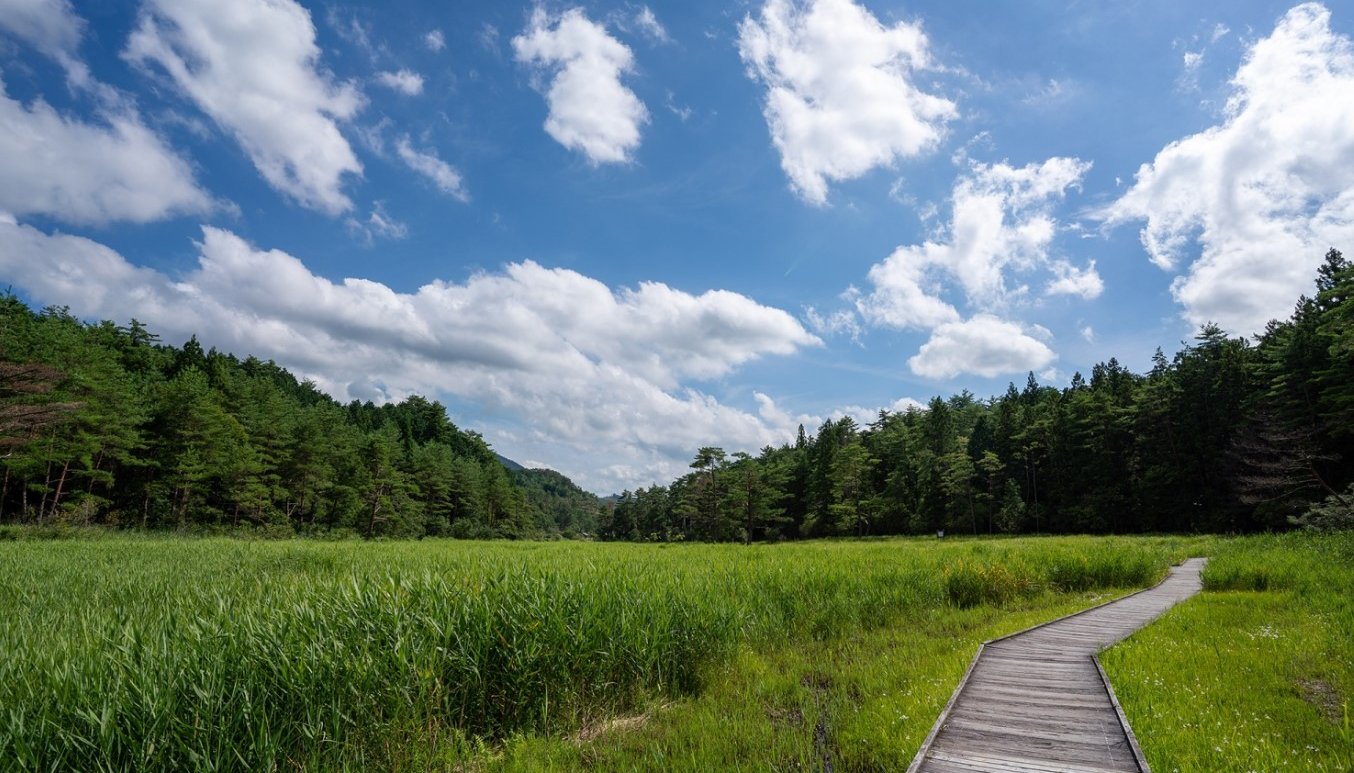 Kurozo Marshland