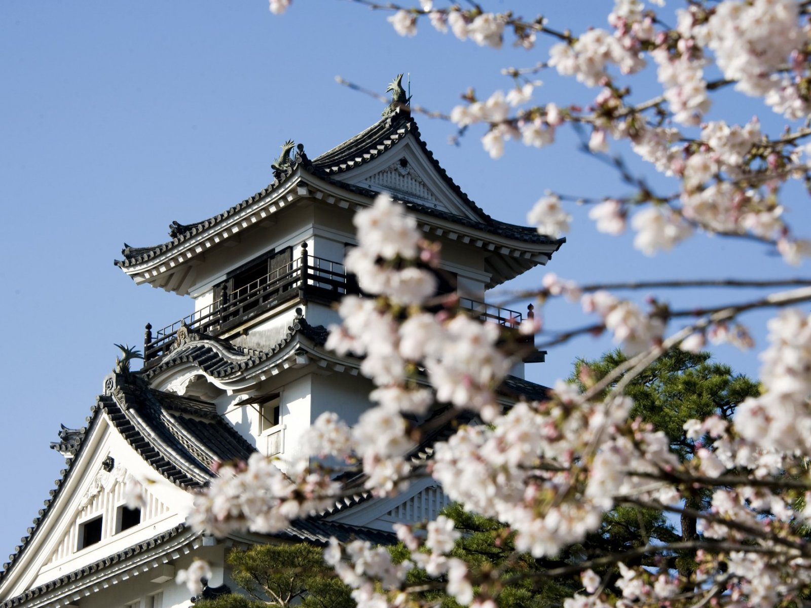 Kochi Castle