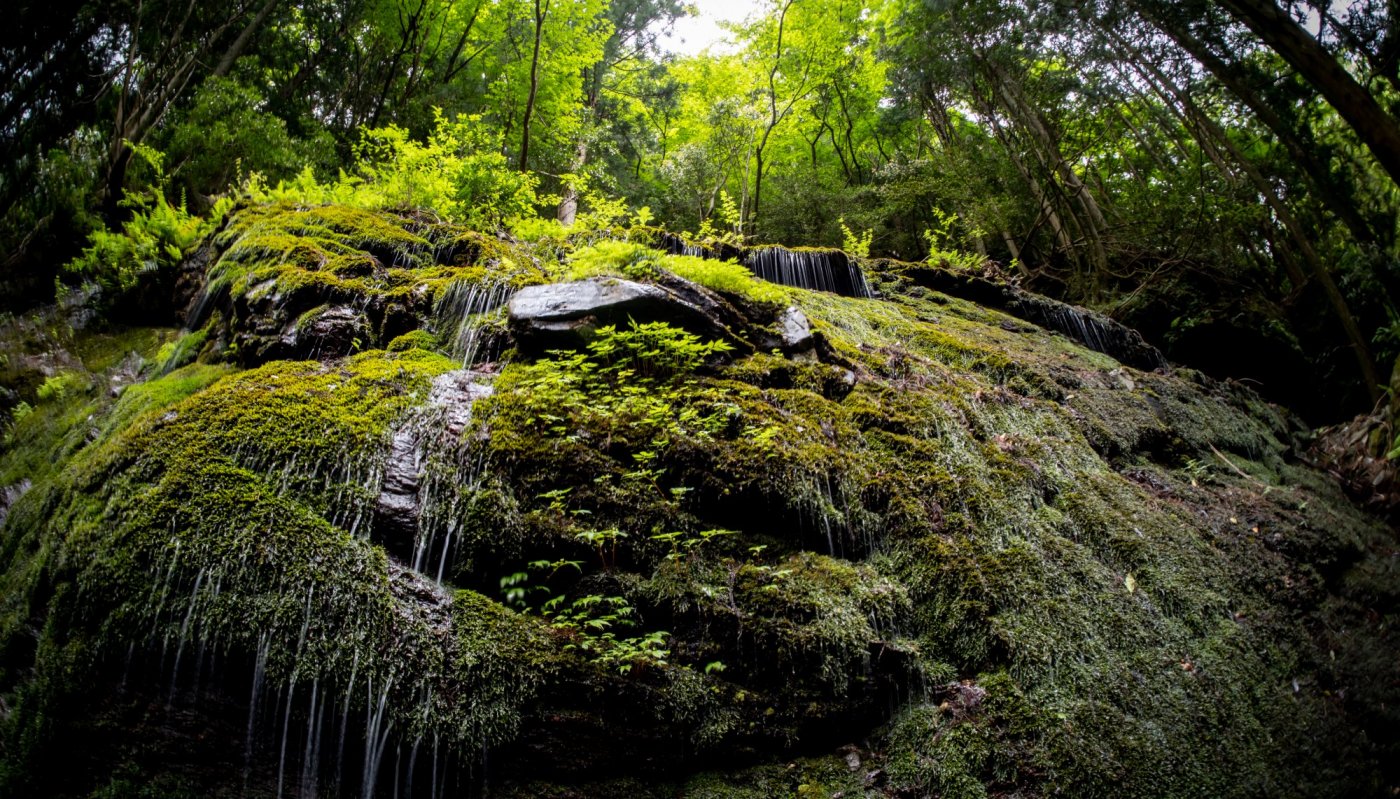 玉簾滝（たますだれたき）