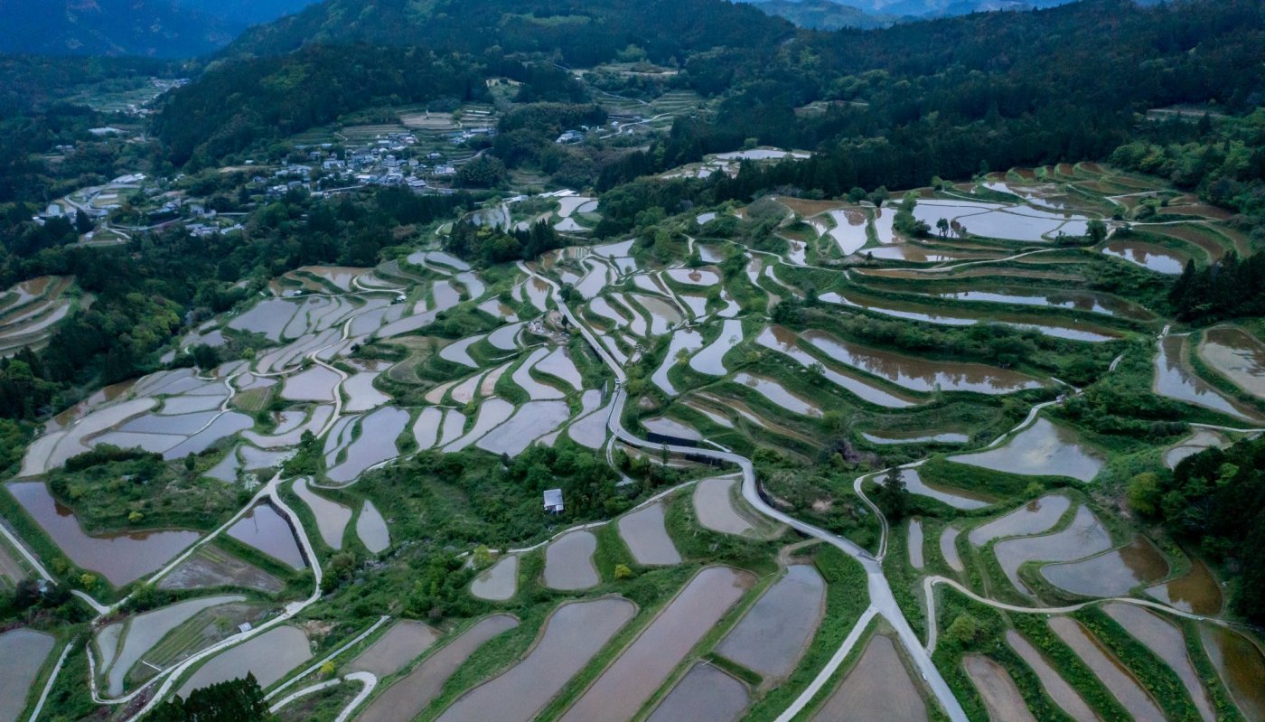 吉延の棚田