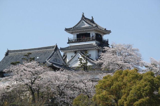 高知城