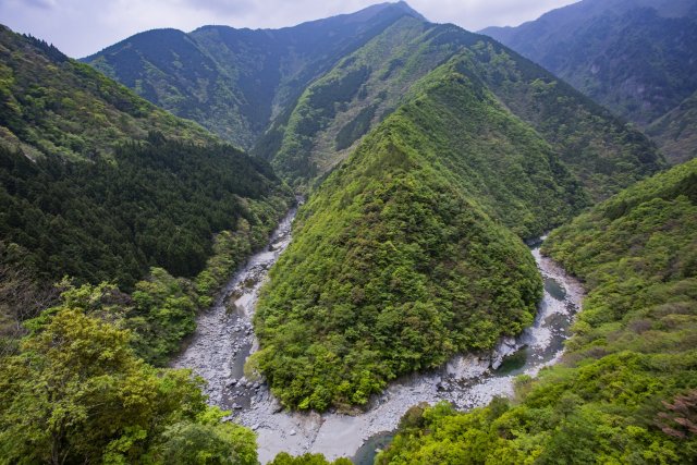 大歩危祖谷温泉郷で宿泊