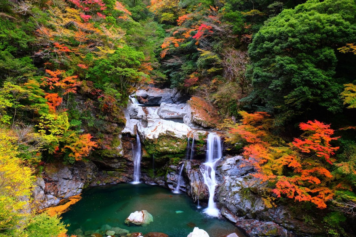 四国の秋を堪能できる絶景紅葉スポット