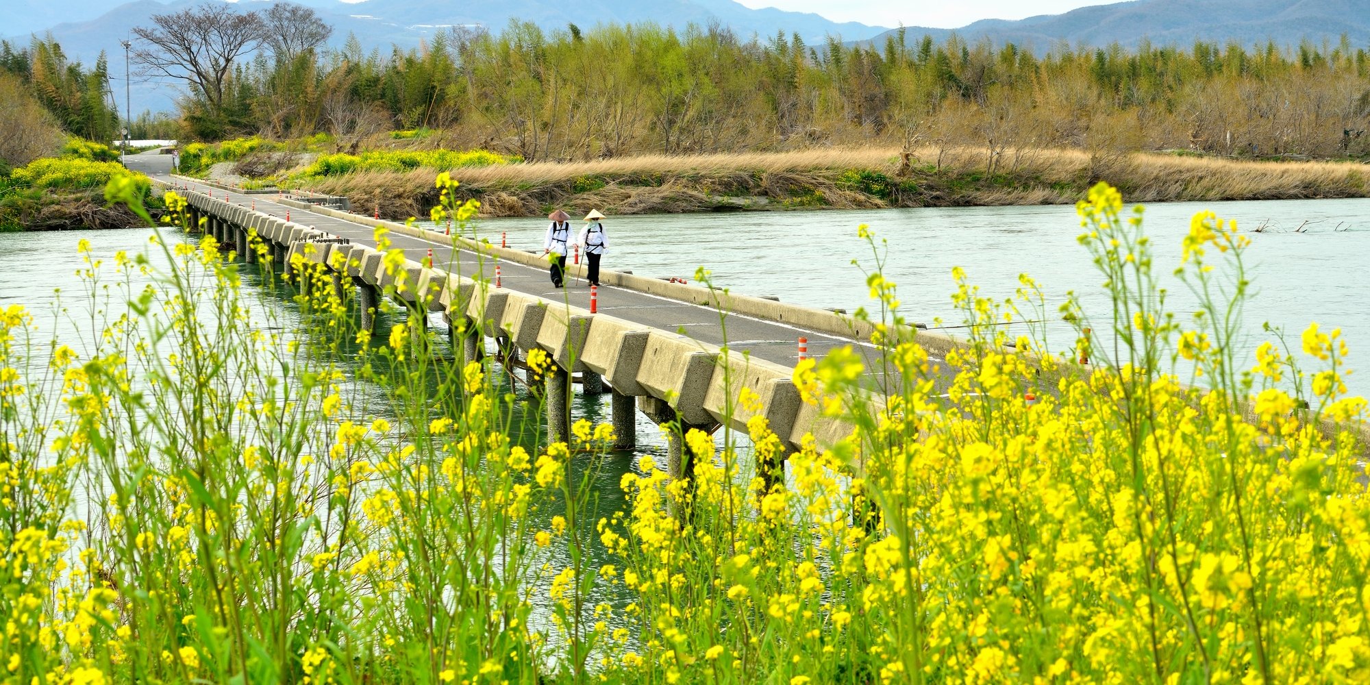 お遍路の上手なめぐり方 豊かな自然と悠久の歴史を感じる四国遍路の旅 特集 四国のおすすめ観光 旅行情報 公式 ツーリズム四国