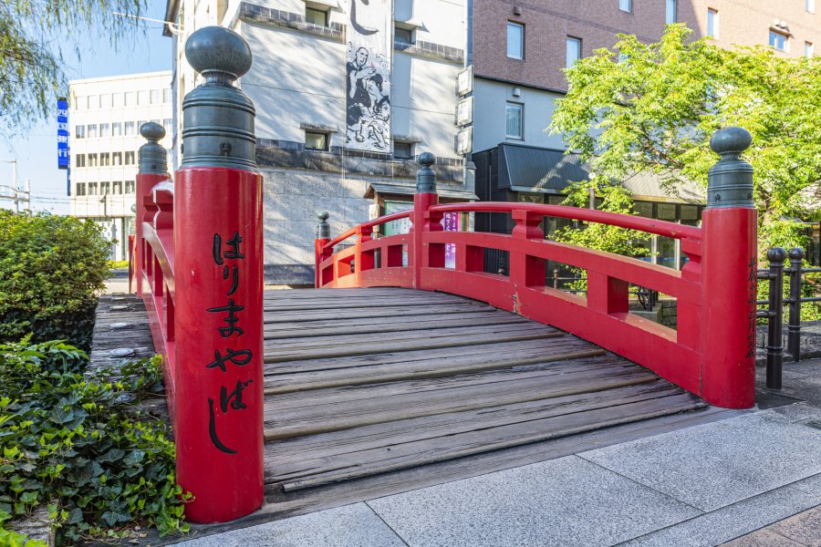 1年中よさこいを体感！「高知よさこい情報交流館」