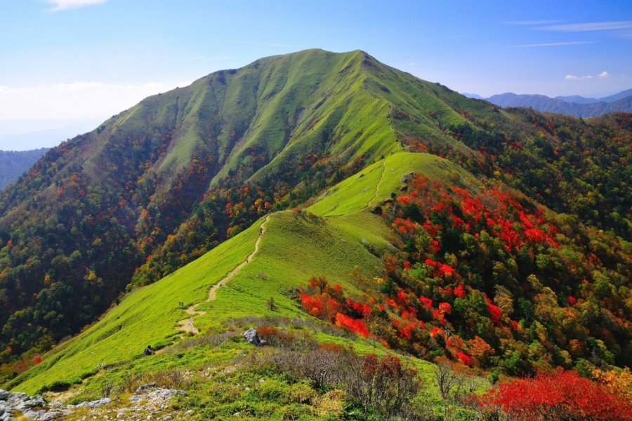 日本百名山にも選出される「剣山」