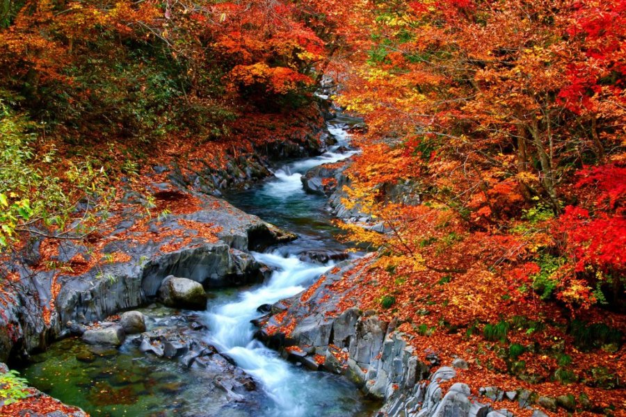 秋には温泉と一緒に紅葉もおすすめです。