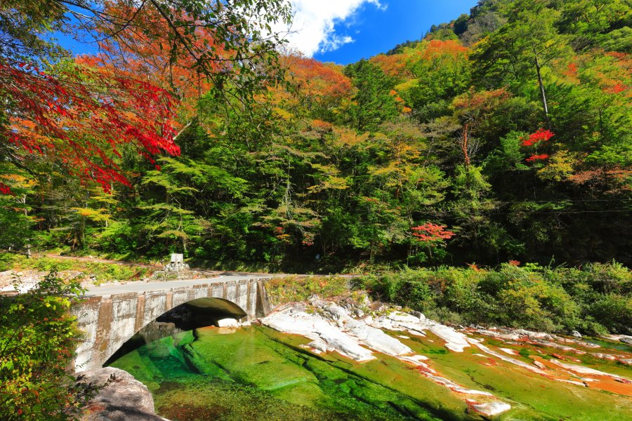 愛媛の渓谷、石鎚山・面河渓も見どころ満載！