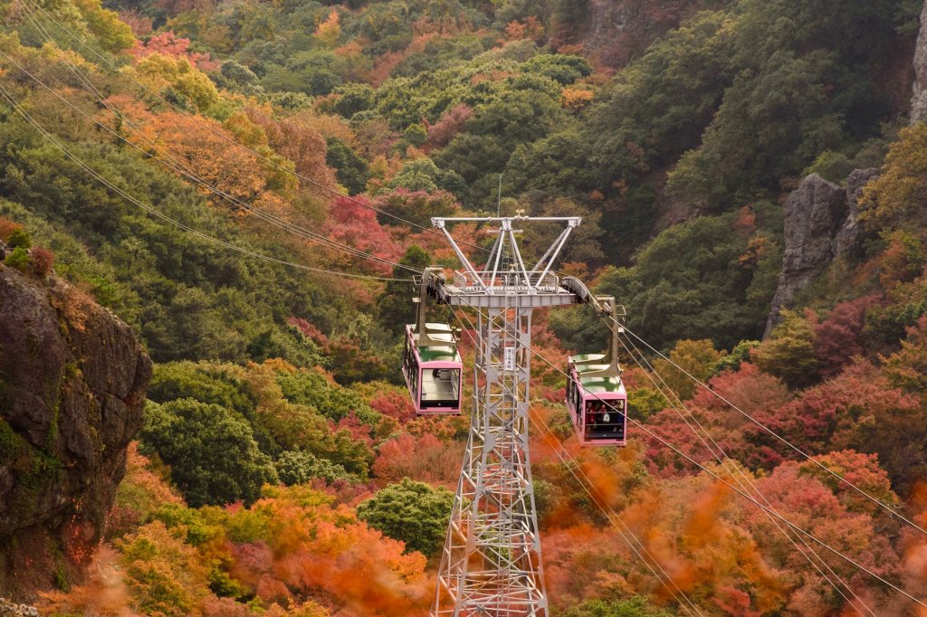 乗り物に揺られ紅葉観賞 四国の秋を堪能できる絶景紅葉スポット 特集 四国のおすすめ観光 旅行情報 公式 ツーリズム四国