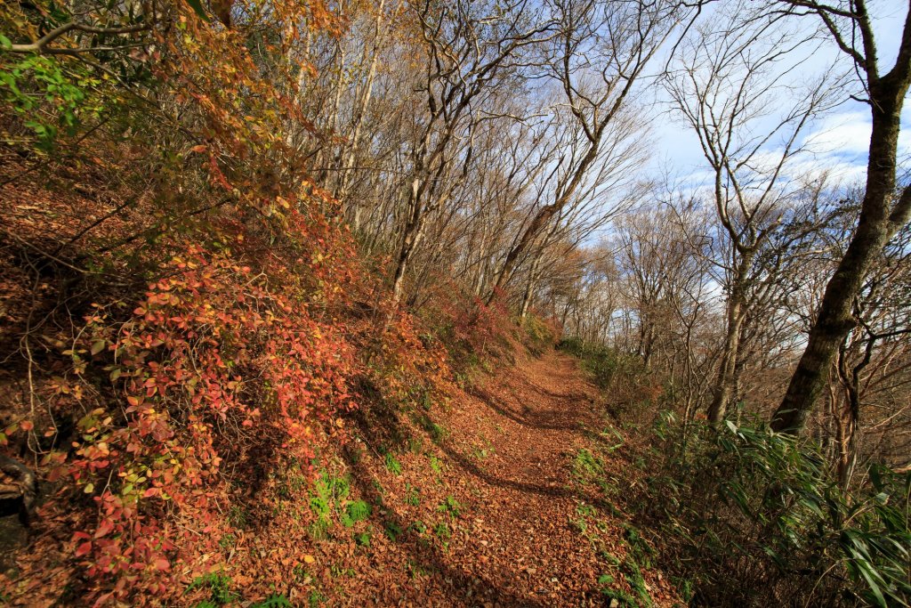 五感を使って楽しむ紅葉ハイキング 四国の秋を堪能できる絶景紅葉スポット 特集 四国のおすすめ観光 旅行情報 公式 ツーリズム四国