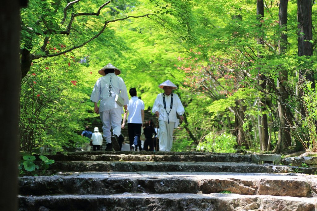 日本神社鳥居與石燈籠，晨光中透出莊嚴靜謐的氣氛，石板路延伸至森林深處