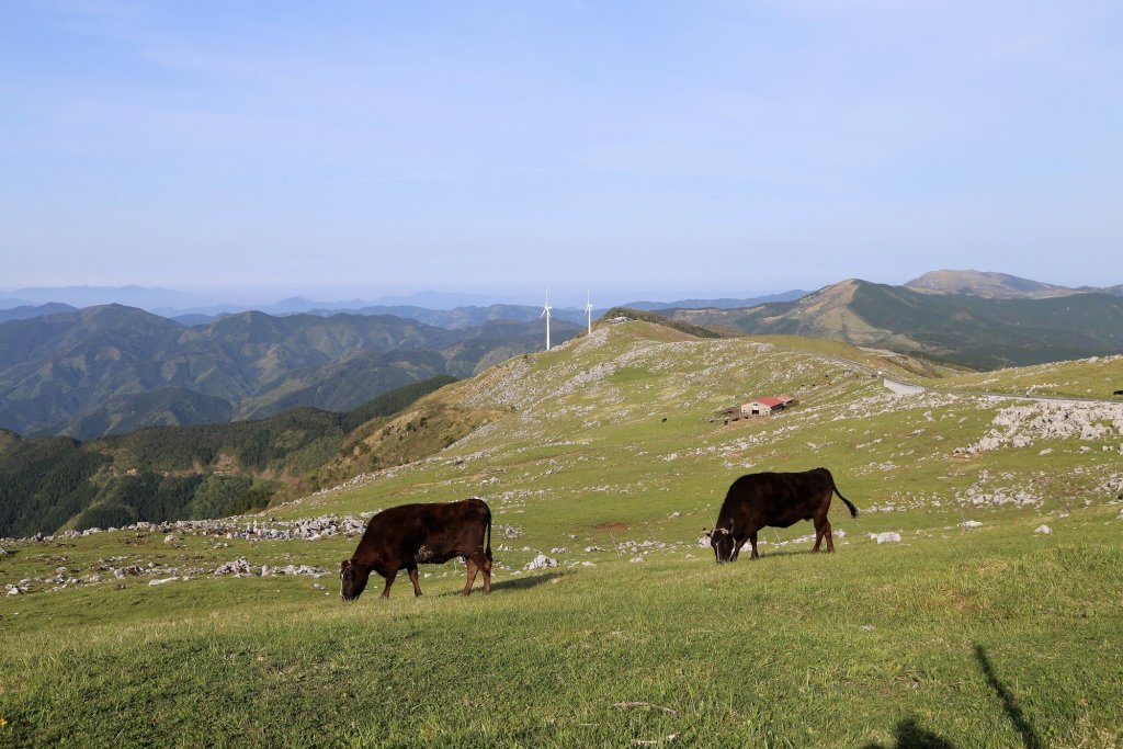 高原の絶景を満喫！四国カルスト｜特集｜四国のおすすめ観光・旅行情報！ 【公式】ツーリズム四国