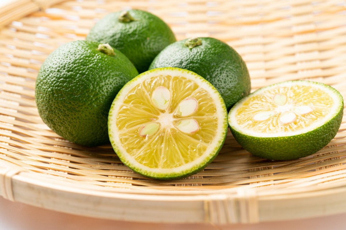 徹底剖析徳島的在地食材「酸橘」！為什麼是名產？歷史、產季、美味吃法一次看！