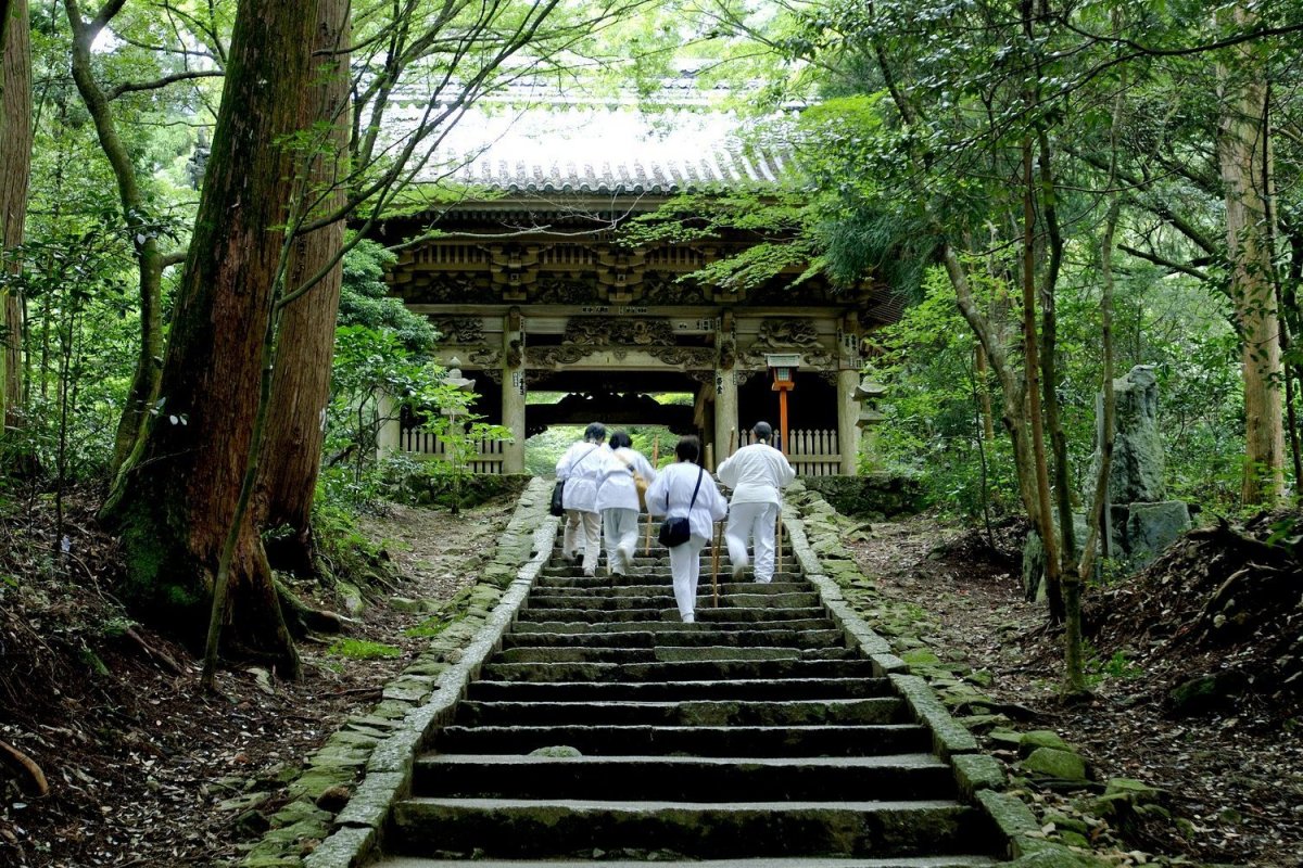  A journey following the footprints of Kobo Daishi (Kukai)